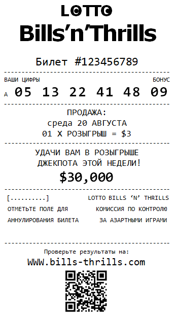 Образец билета